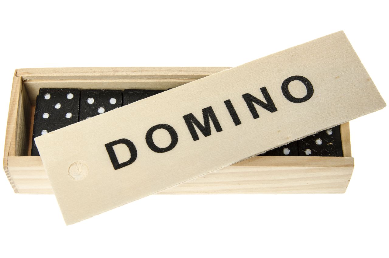 DOMINO SPEL HOUT