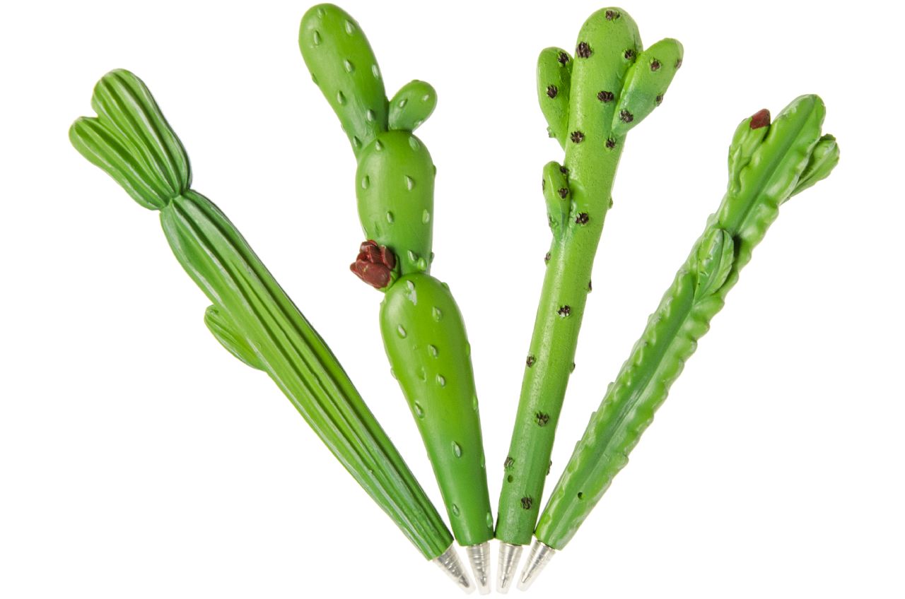 BALPEN CACTYUS
