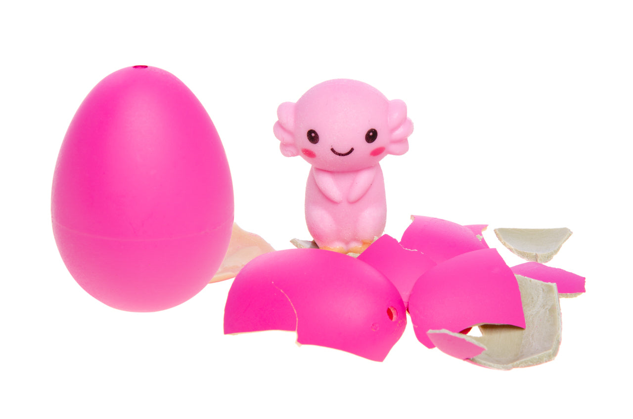 GROWING EGG AXOLOTL