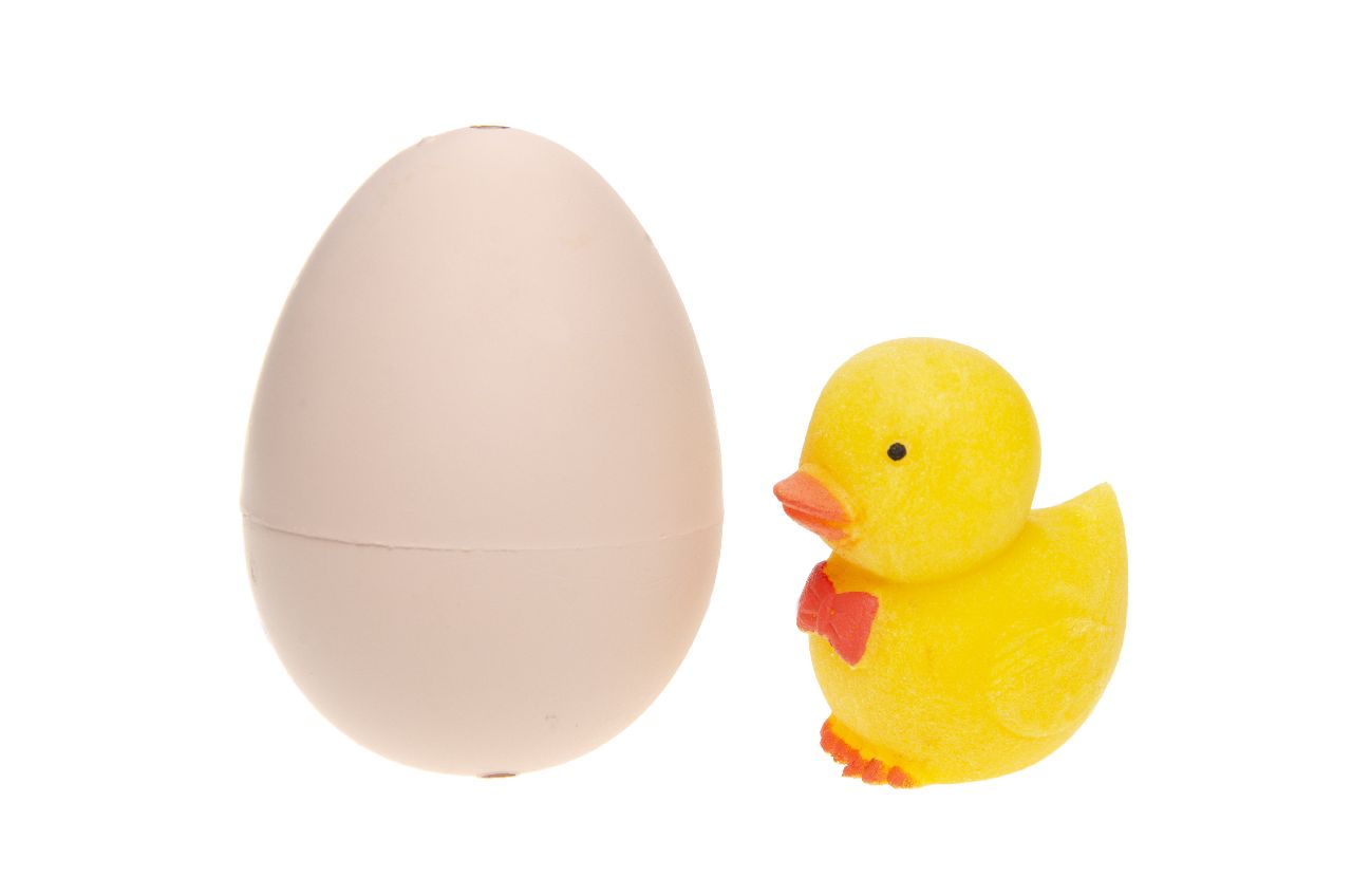 GROEIENDE EEND IN EI