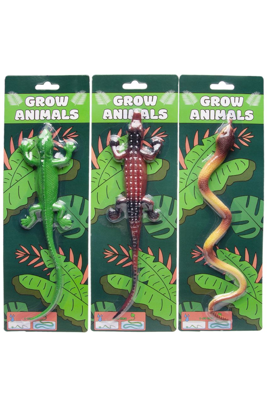 GROEI DIEREN OP KAART. 3ASS