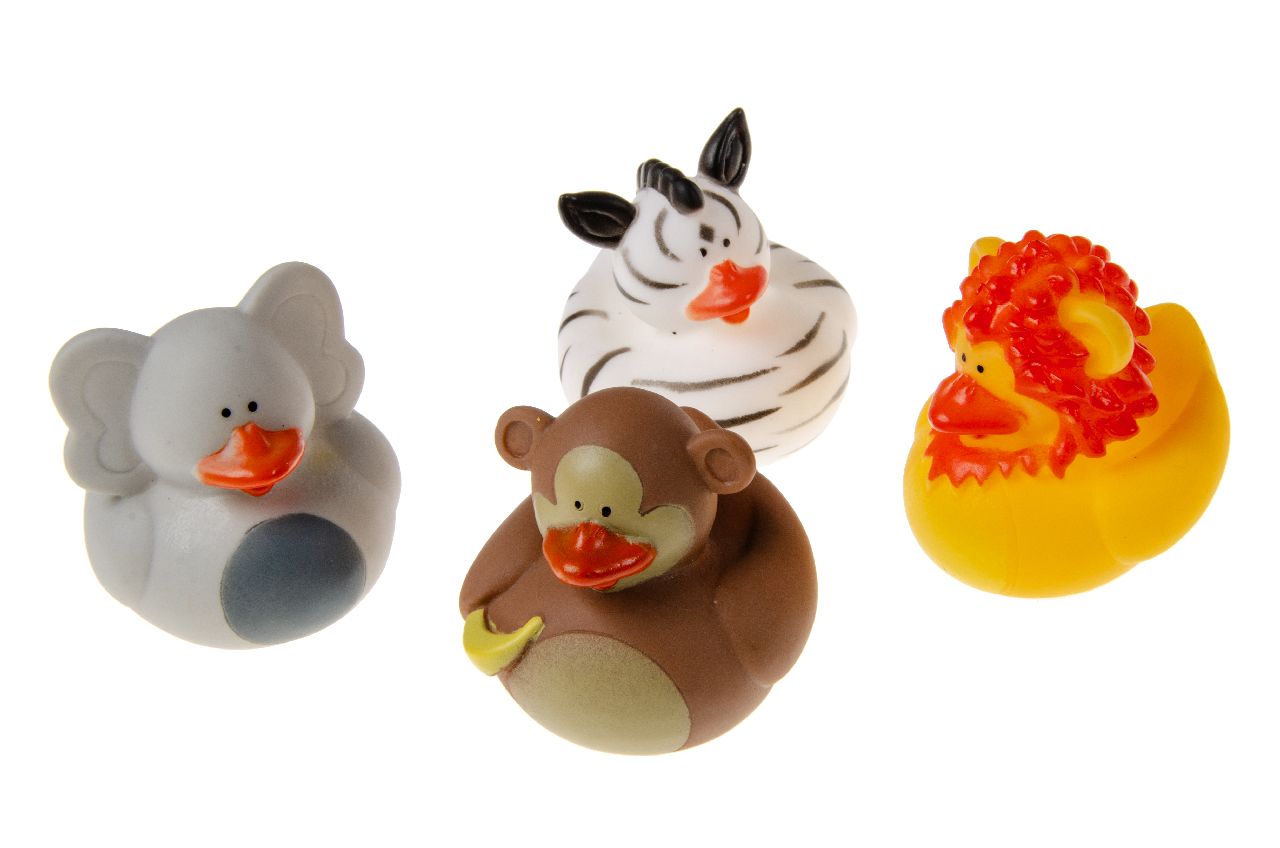 DUCK WILD ANIMALS
