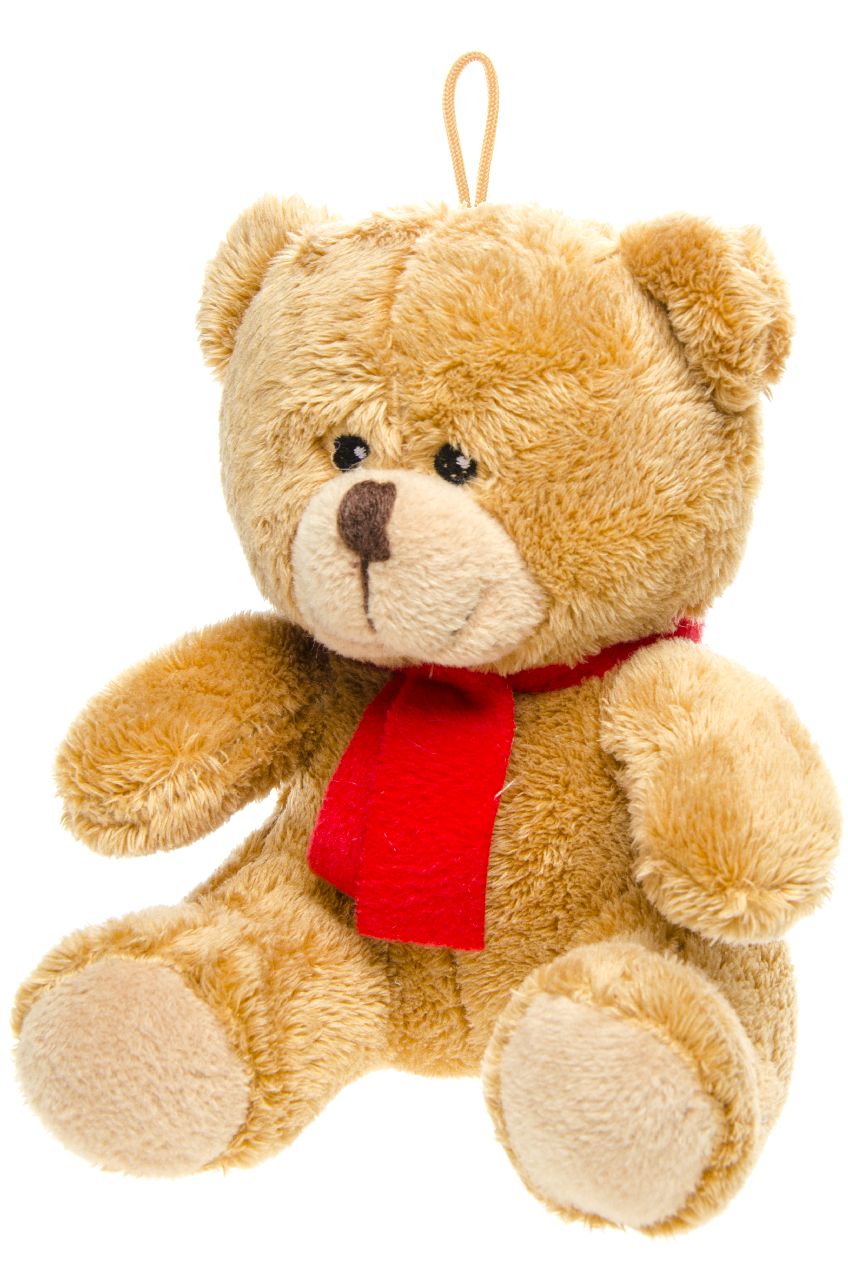PLUCHE TEDDYBEERSJAAL