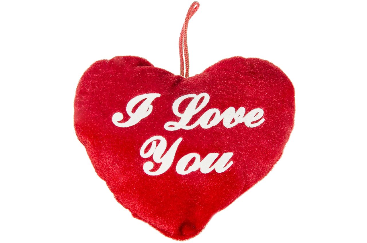 PLUCHE HART S