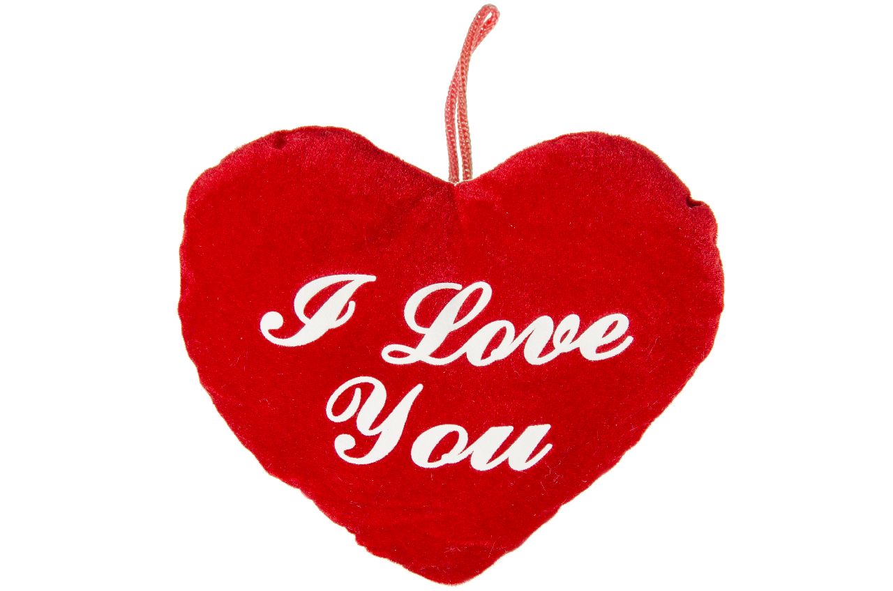 PLUCHE HART M