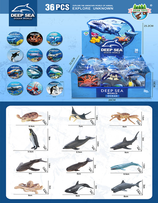 SEA ANIMALS W CARD