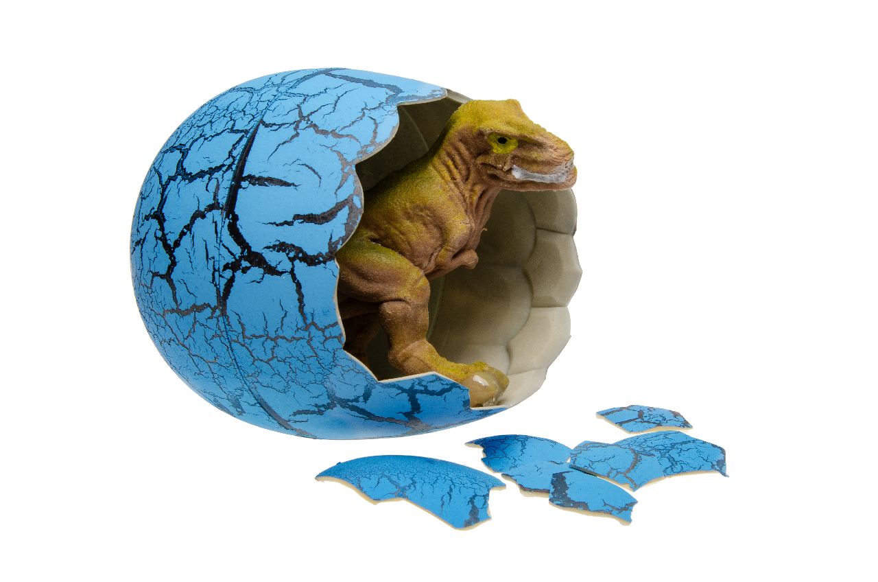 REUZE EI DINO DOOS