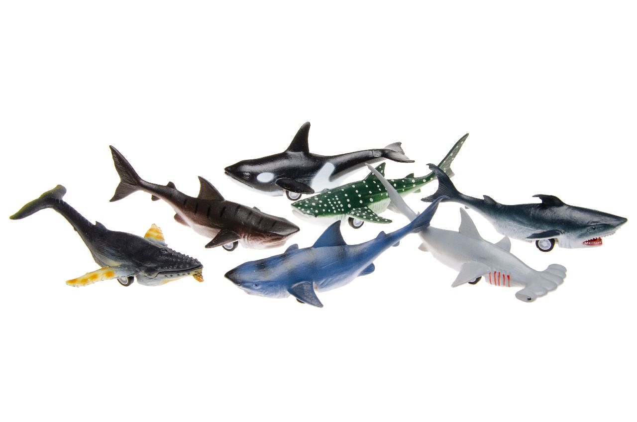 PULLBACK ZEEDIEREN