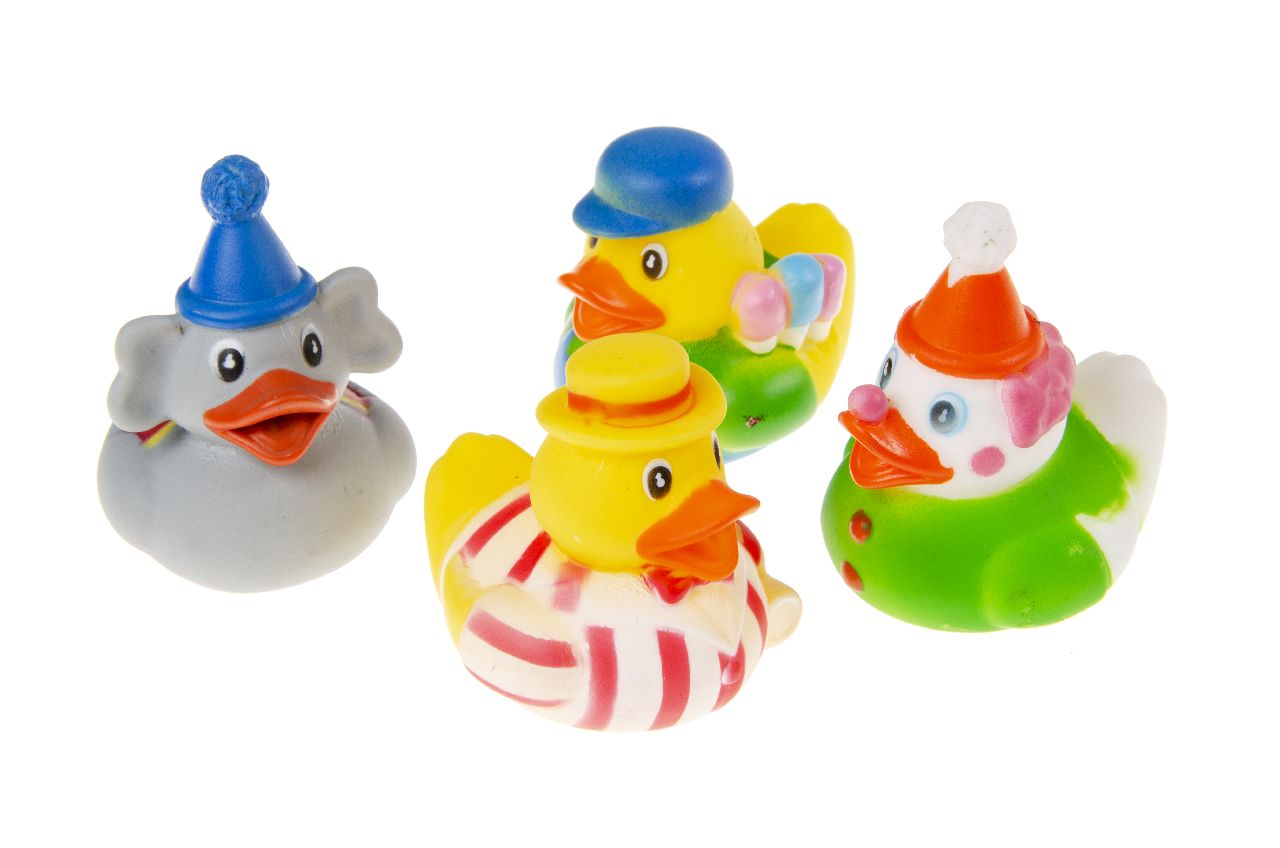 DUCK CIRCUS
